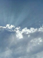 Generic placeholder thumbnail