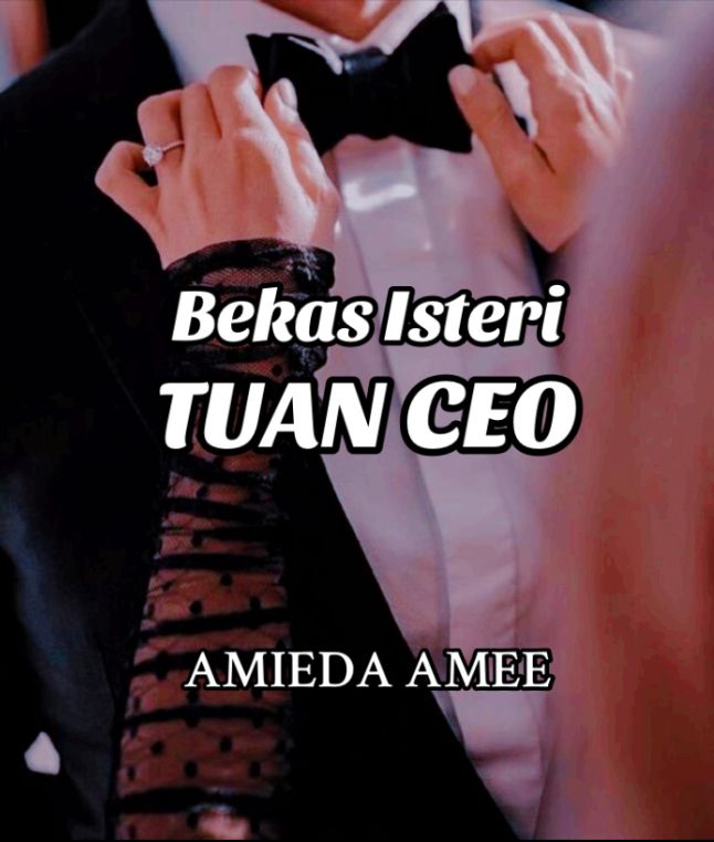 Bekas Isteri Tuan CEO