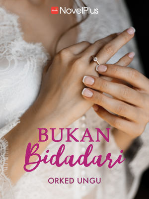 Bukan Bidadari